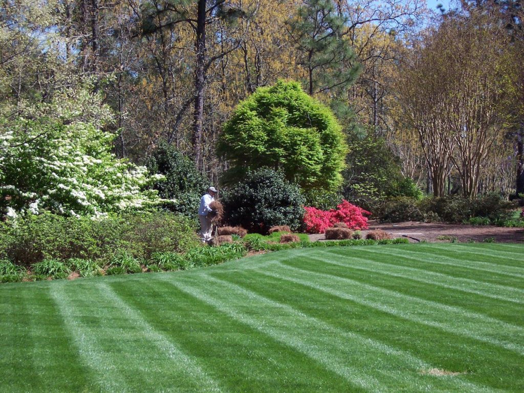 Expert Landscaping Company Pinehurst NC