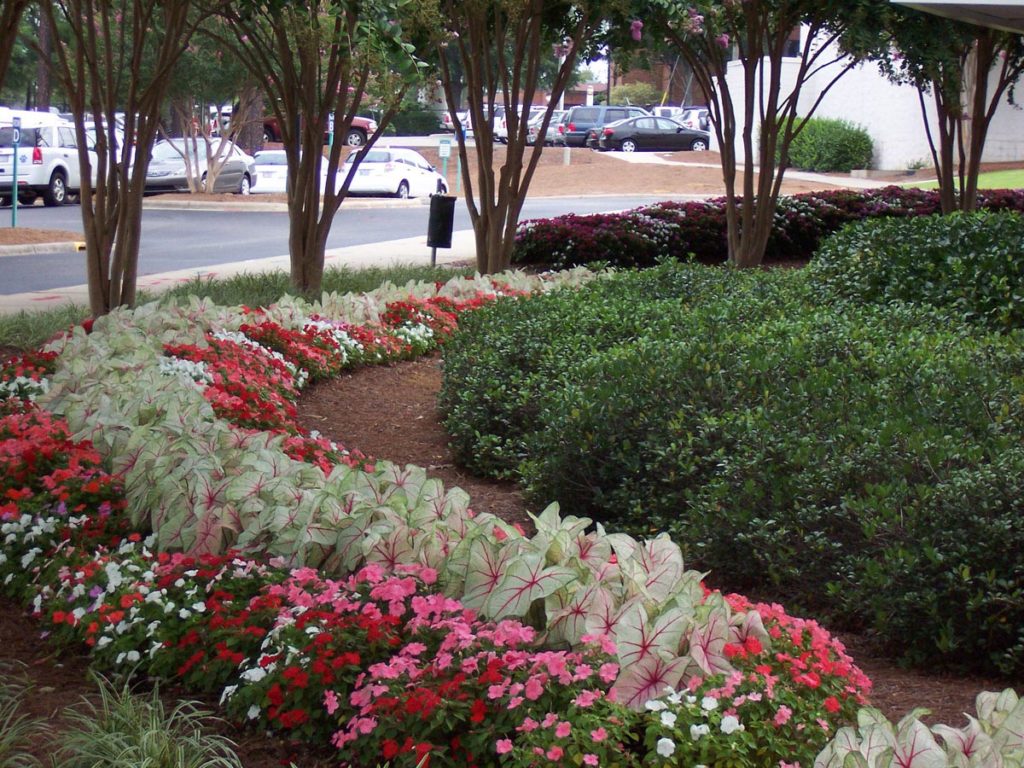 Professional Landscaping Company near Pinehurst NC