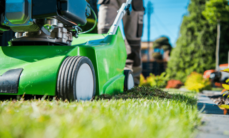 4 Benefits of Professional Lawn Care