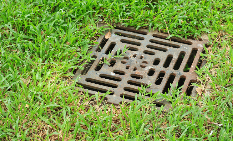 3 Types of Yard Drainage