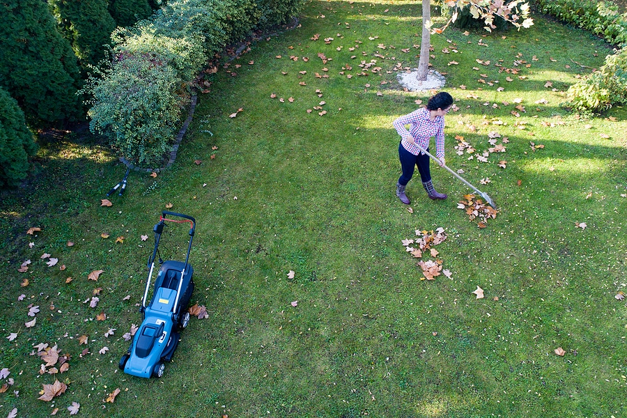 3 Fall Lawn Care Chores