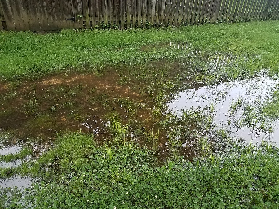 Soggy Lawn? 3 Ways to Improve Drainage