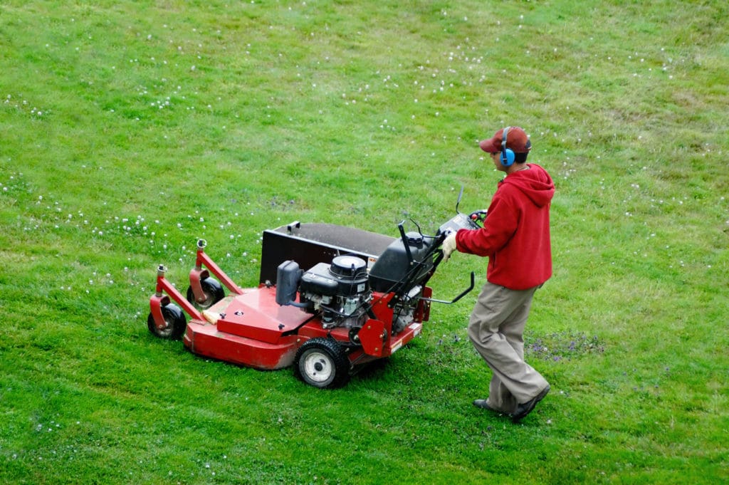 Don't Fall for These 3 Common Lawn Care Myths