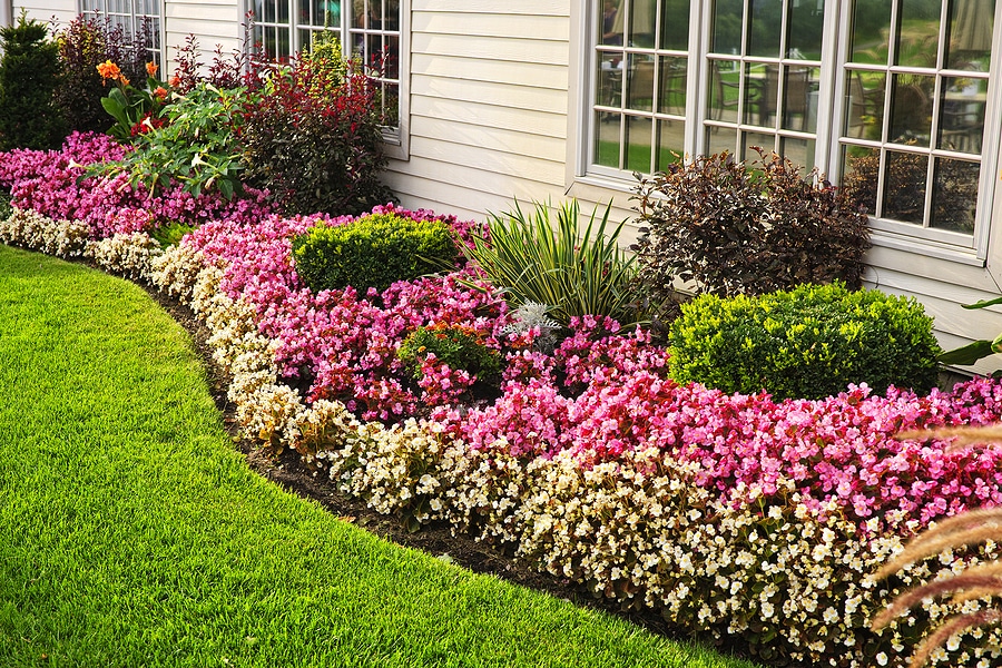 4 Reasons to Edge Around Your Flowerbeds