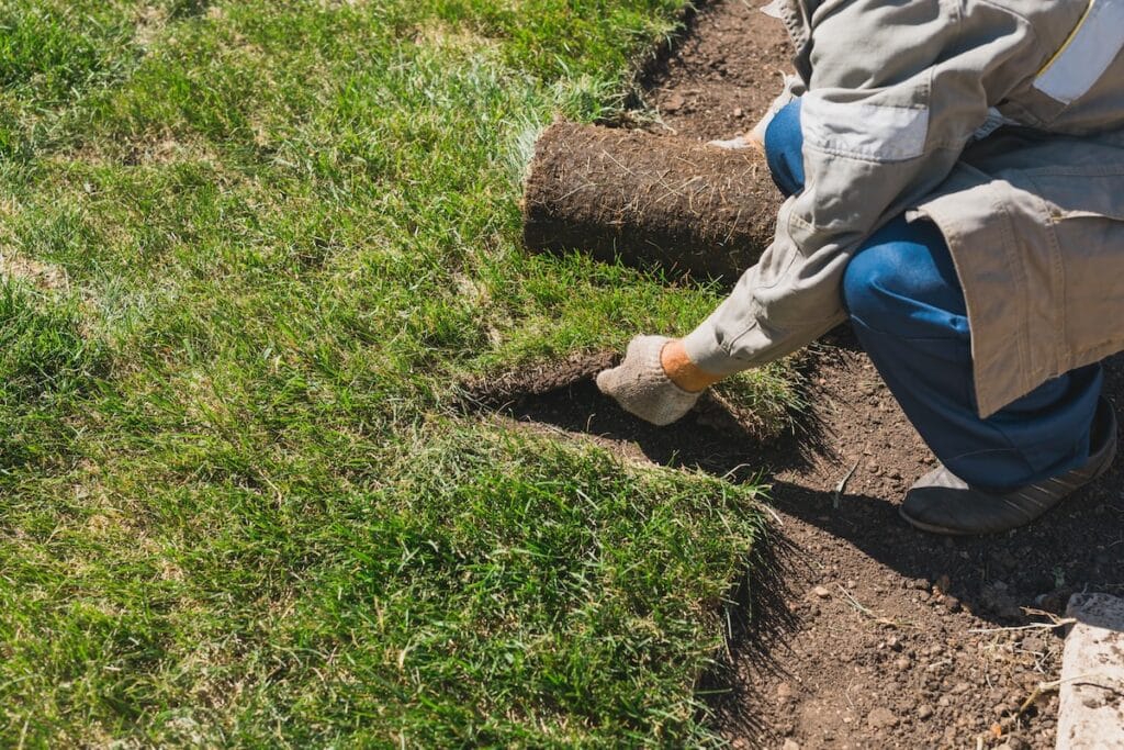 Why Spring Is the Best Time to Install Sod in Aberdeen