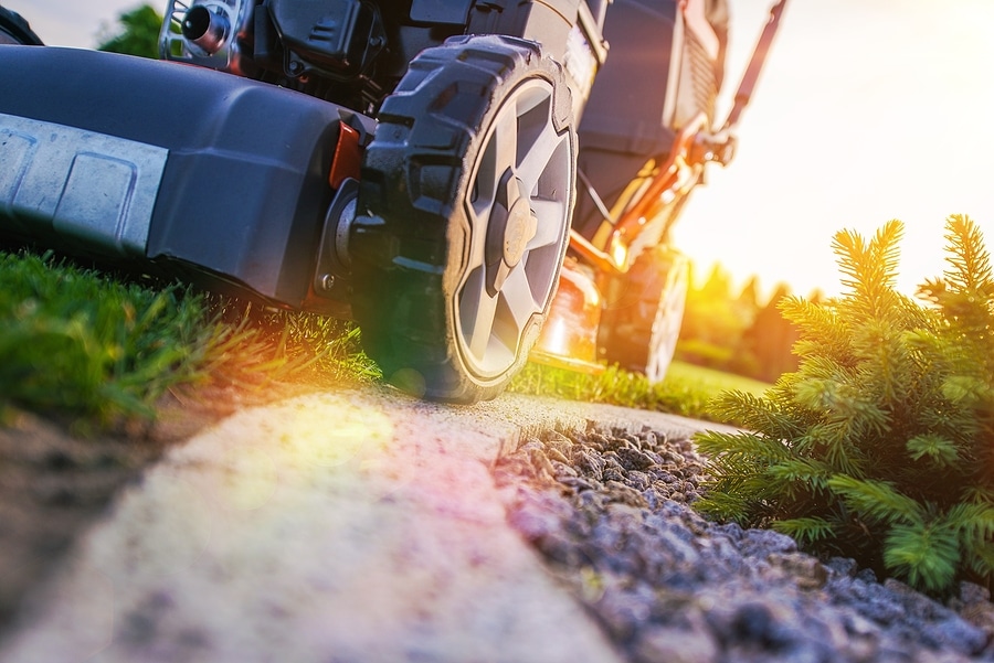 How to Get Your Lawn Through the Summer Heat