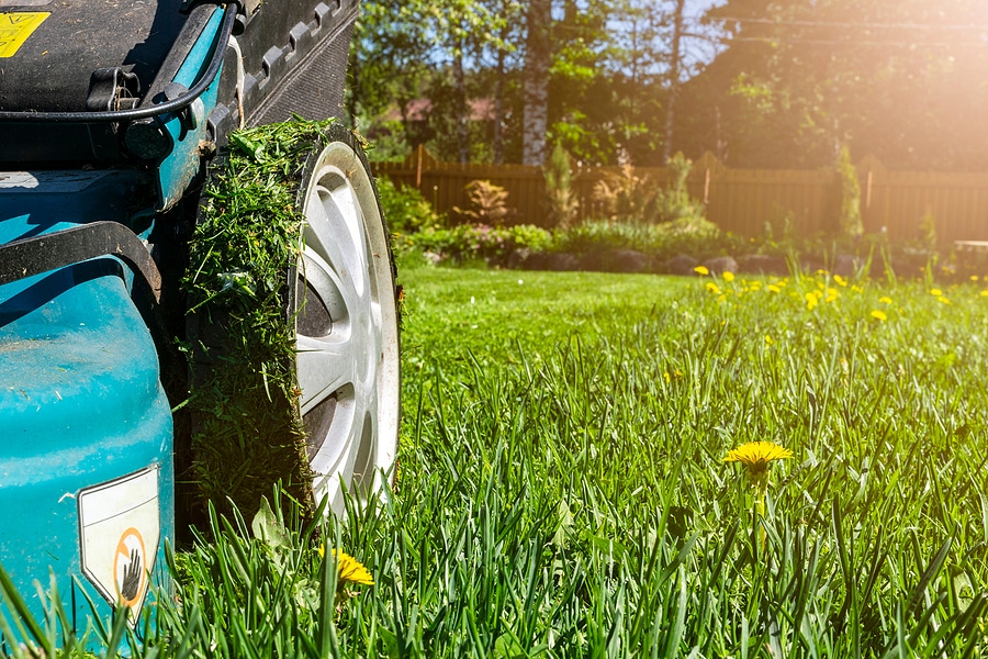 5 Benefits of Routine Lawn Mowing Service in Pinehurst